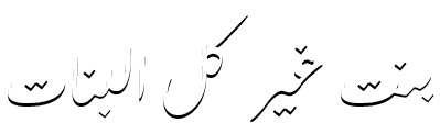 شبكة راديو وتلفزيون العرب: ART TV , Arab Radio and Television Network- ART TV