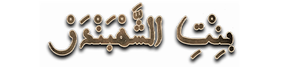 شبكة راديو وتلفزيون العرب: ART TV , Arab Radio and Television Network- ART TV