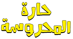 شبكة راديو وتلفزيون العرب: ART TV , Arab Radio and Television Network- ART TV
